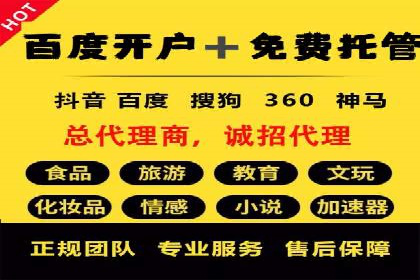 案例剖析：托管竞价SEM助力业绩提升